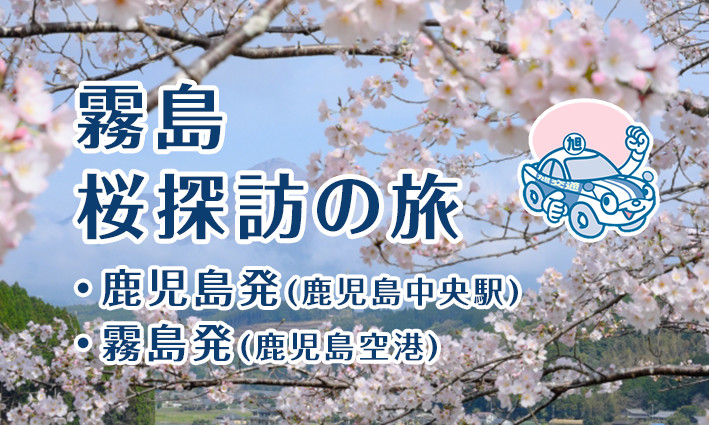 霧島市　桜探訪の旅